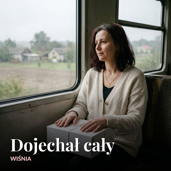 Okładka: Dojechał cały